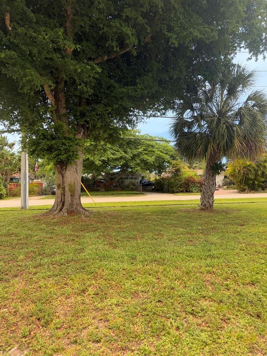Yard