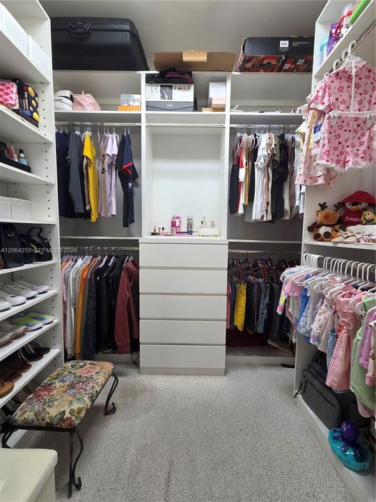 master closet 2
