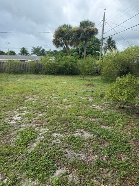 BACK YARD # 5