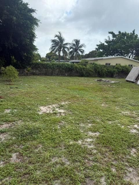 BACK YARD # 4