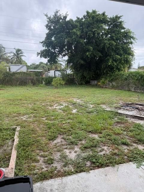 BACK YARD # 1