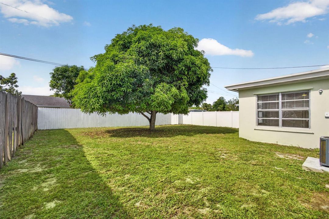 33-web-or-mls-5D1A0966