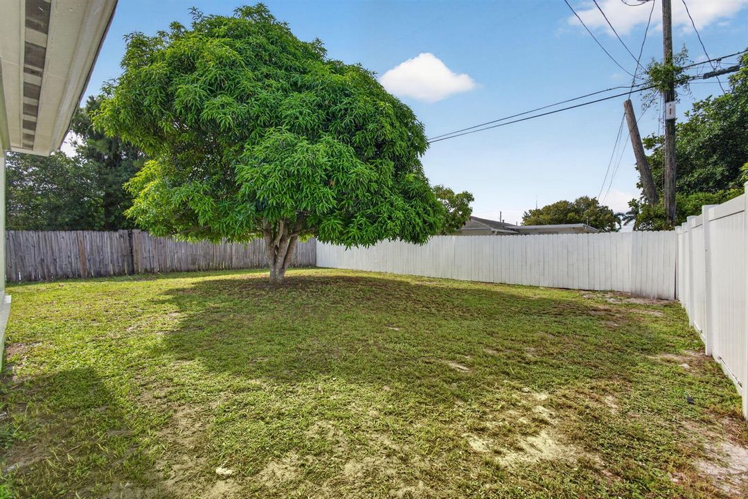 31-web-or-mls-5D1A0956