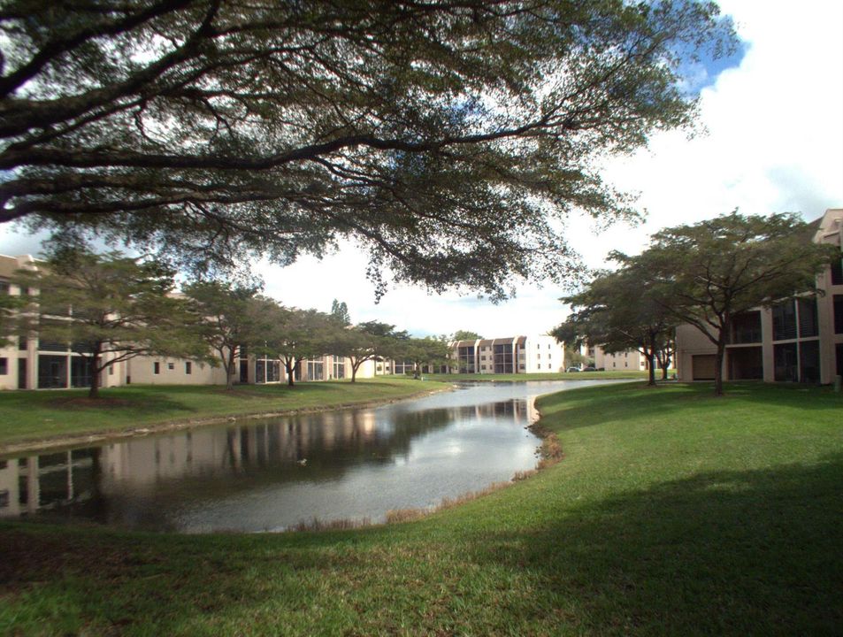 Relaxing Lake View