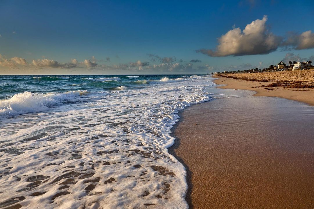 BEACH WAVE