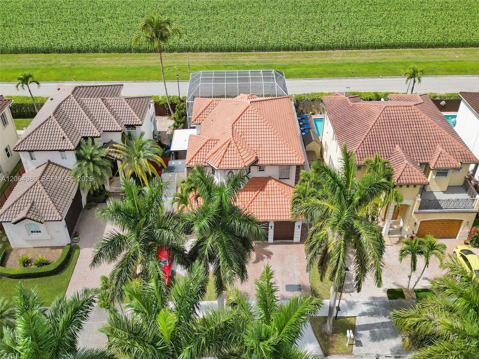 AERIAL VIEW OF FRONT OF PROPERTY LINED WITH MAJESTIC AND TALL PALM TREES BACKS TO IMPRESSIVE MILES OF CORN FIELDS FEELING THE IN TOUCH WITH NATURE.
