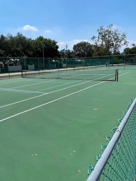 Aster ln tennis