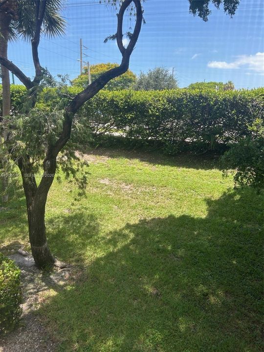 En Renta: $1,700 (1 camas, 1 baños, 768 Pies cuadrados)