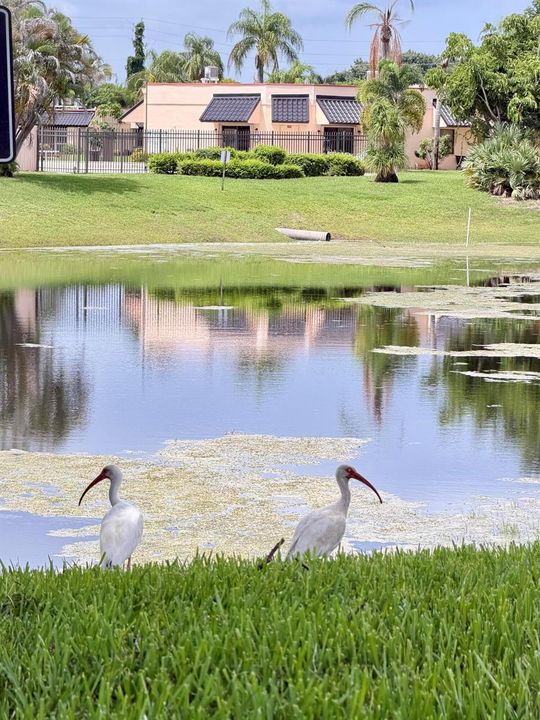Beautiful grounds
