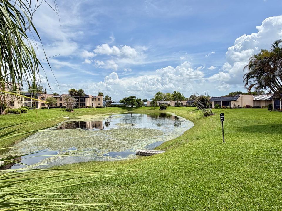 Community pond