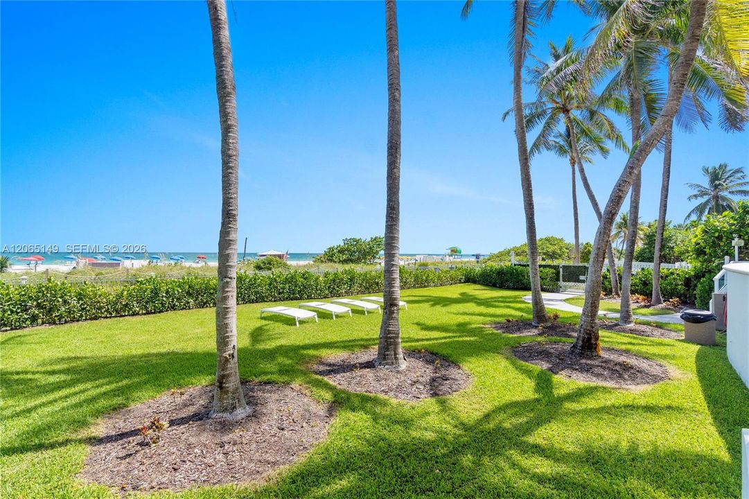 Backyard