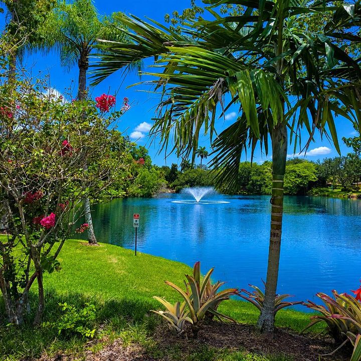 Albert Lake view
