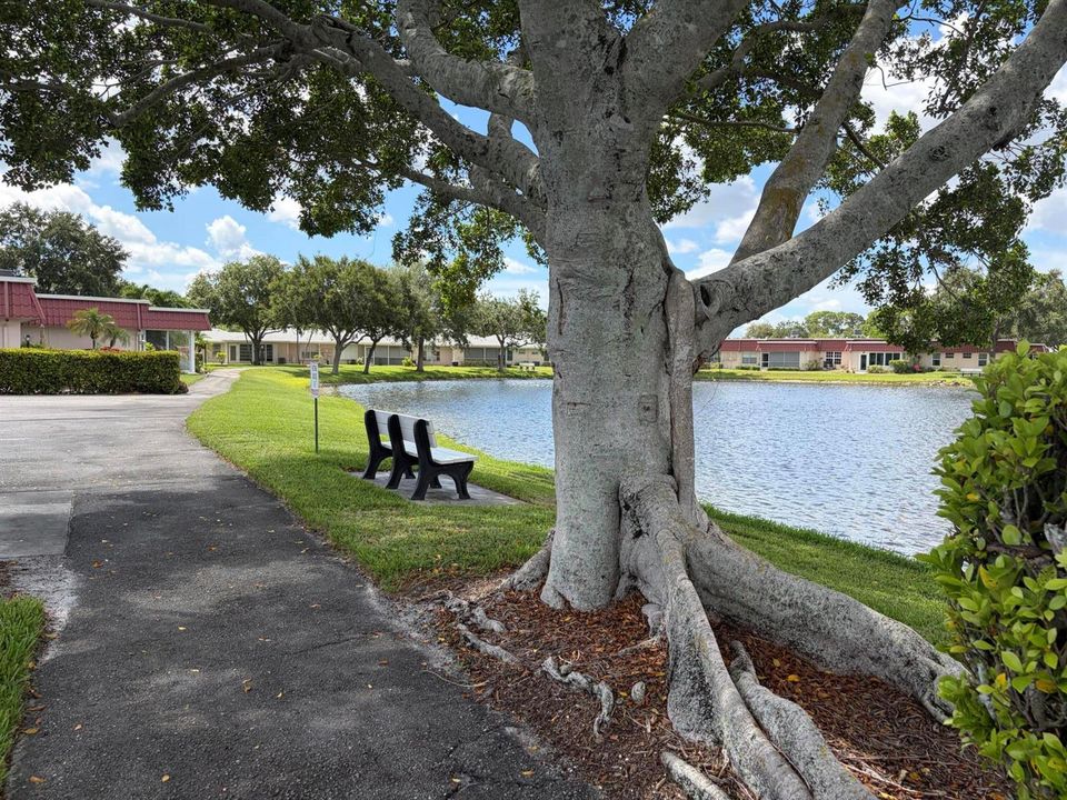 Community Trails