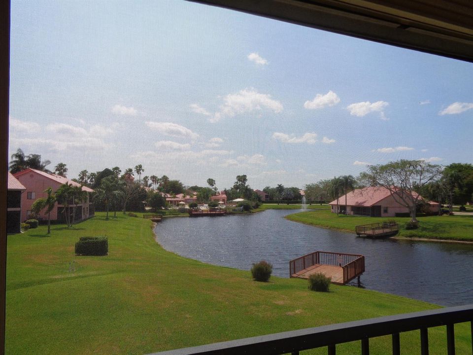 View from Lanai