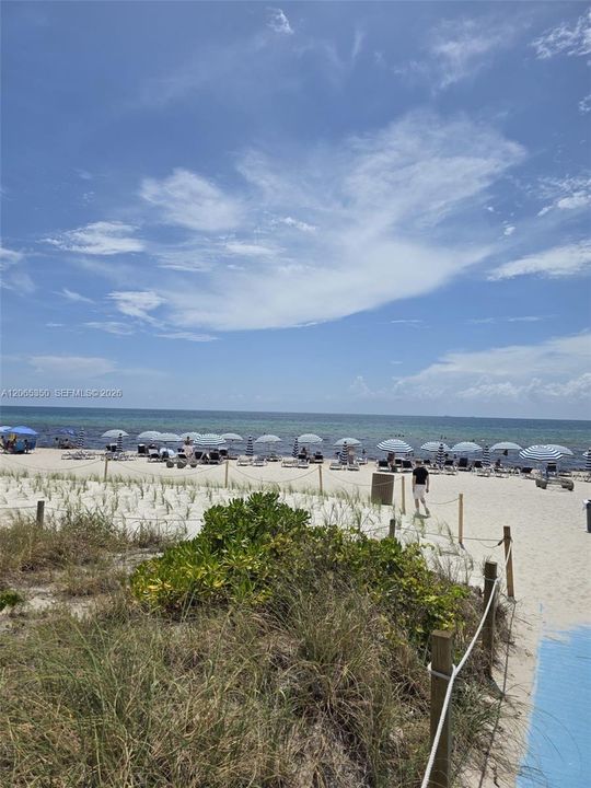 For Rent: $1,050 (1 beds, 1 baths, 869 Square Feet)