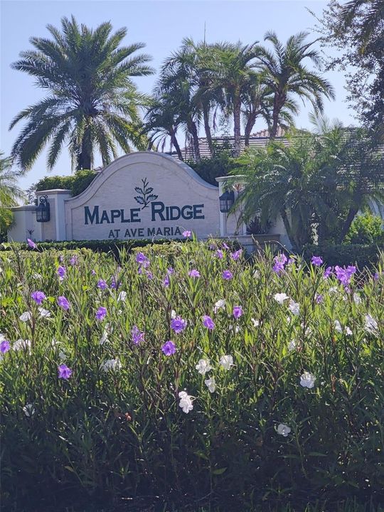 For Rent: $3,100 (4 beds, 2 baths, 0 Square Feet)
