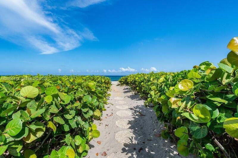 Beach Path