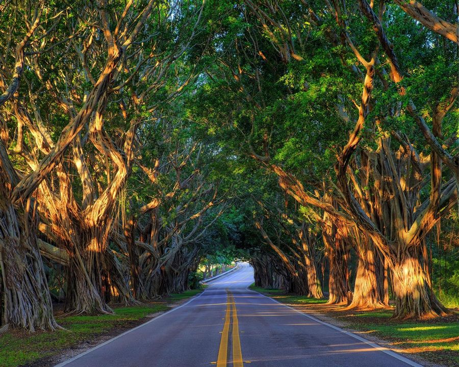 Road to Hobe Sound Beach
