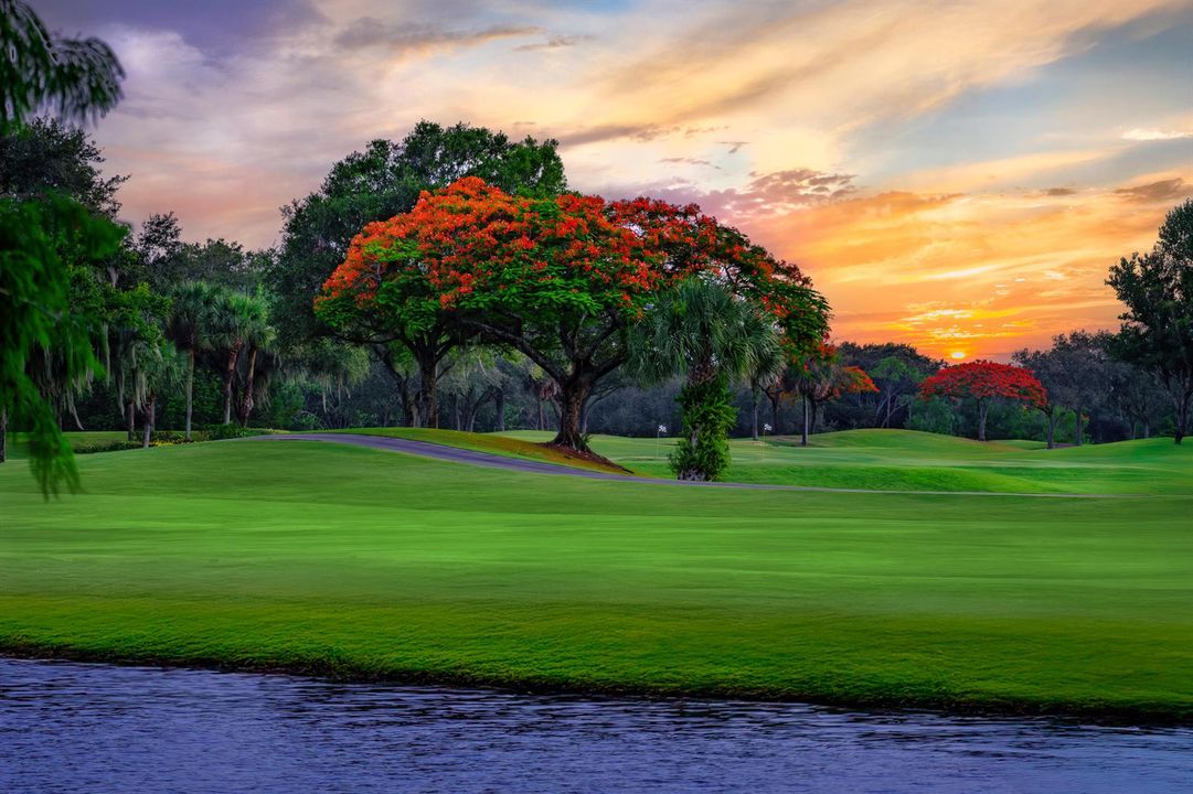 Championship Golf Courses
