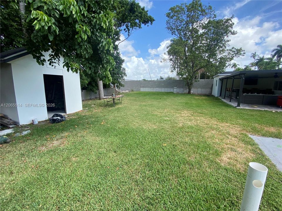 Backyard