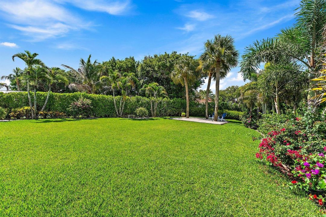 Side Yard