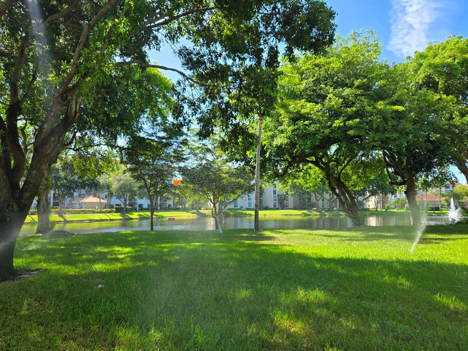 egret - park like surroundings