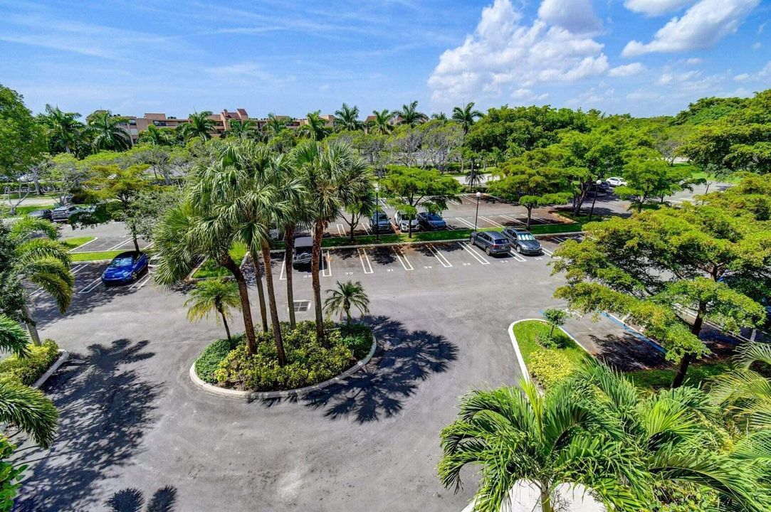 955 Egret - parking lot