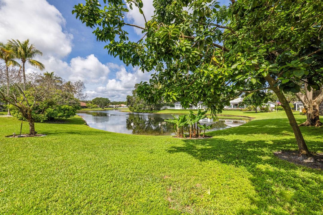 Backyard view