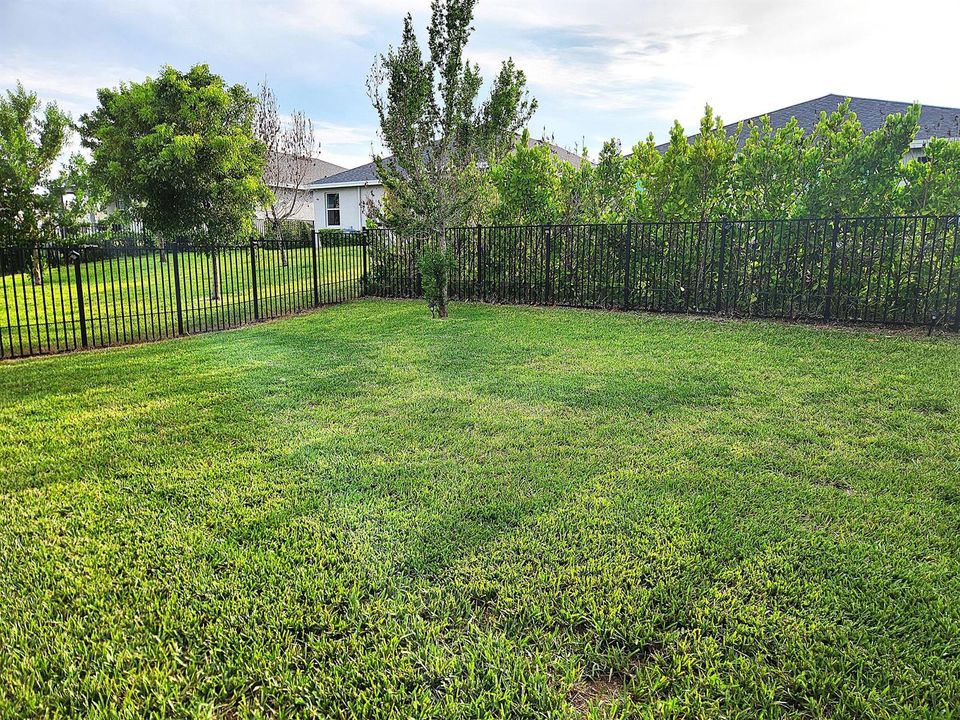 Large backyard