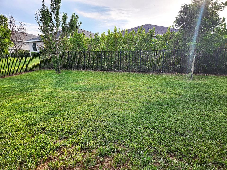 Fenced backyard