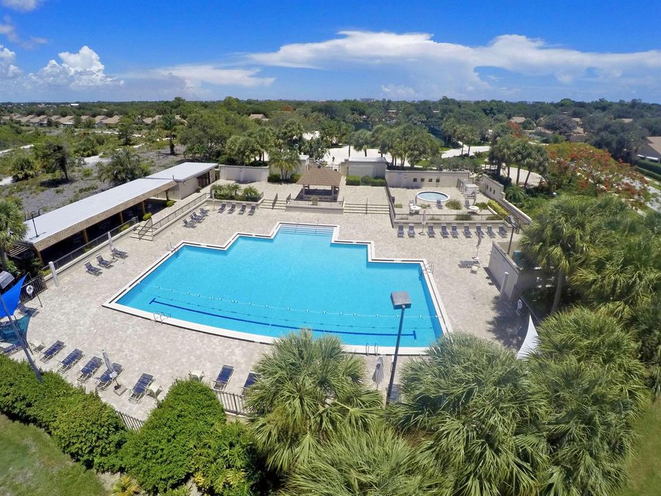 Olympic-Size Swimming Pool