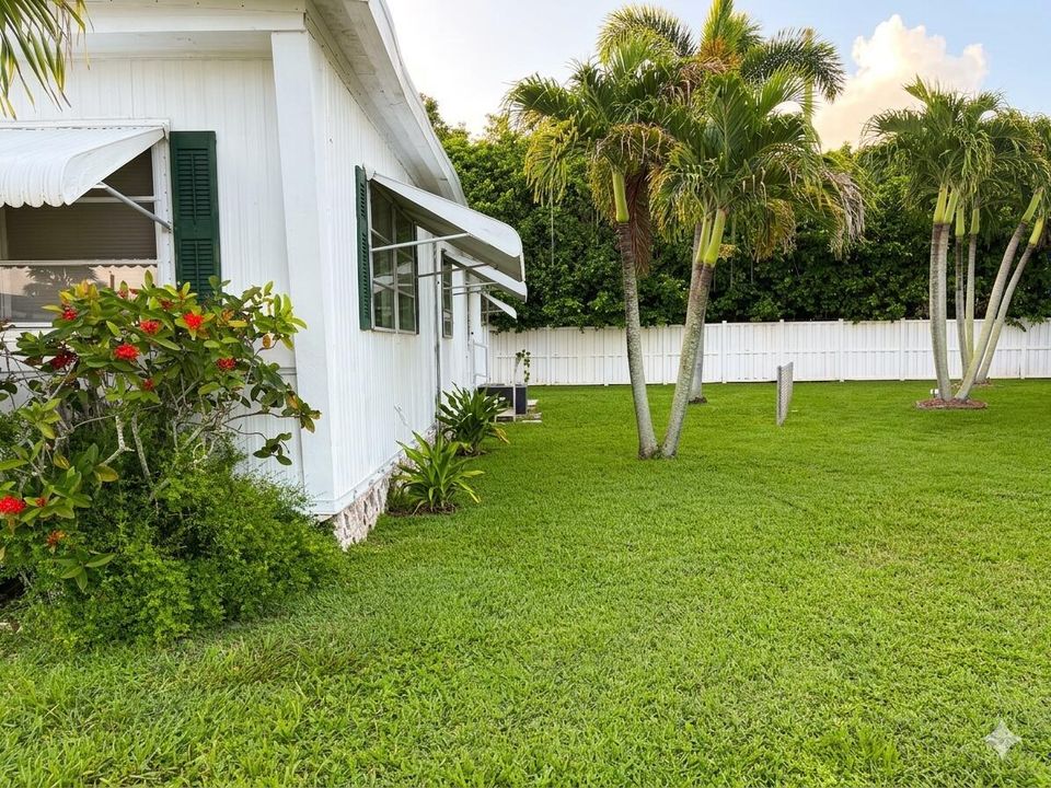 Large Yard