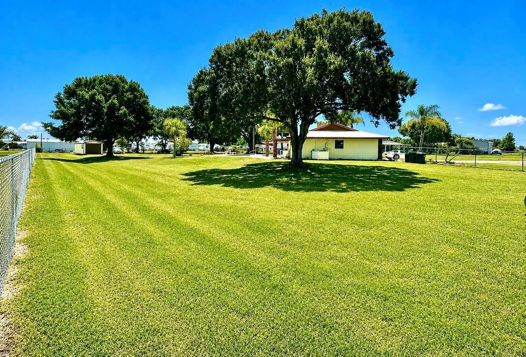 Side Yard