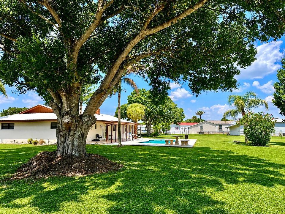 Side Yard