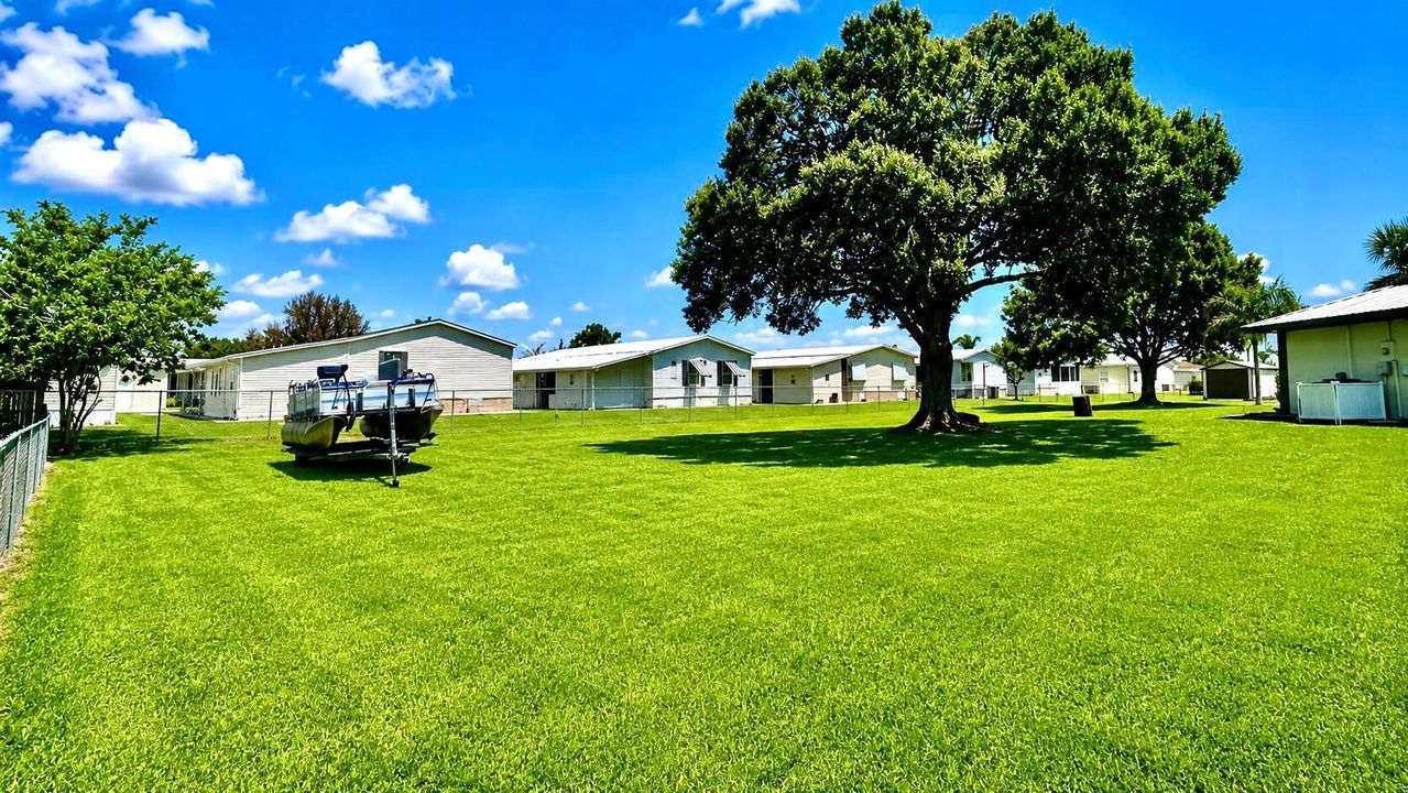 Side Yard