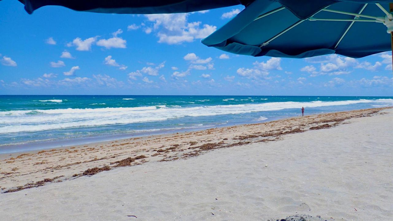 ATTENDED PRISTINE, PRIVATE BEACHES