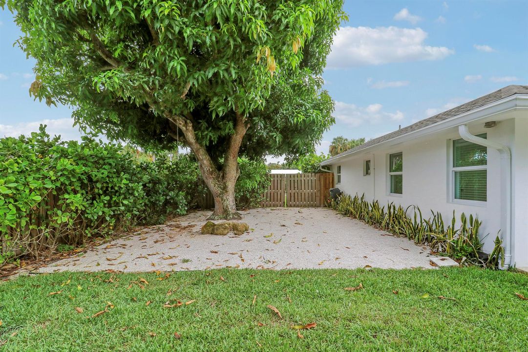 Mature fruit trees