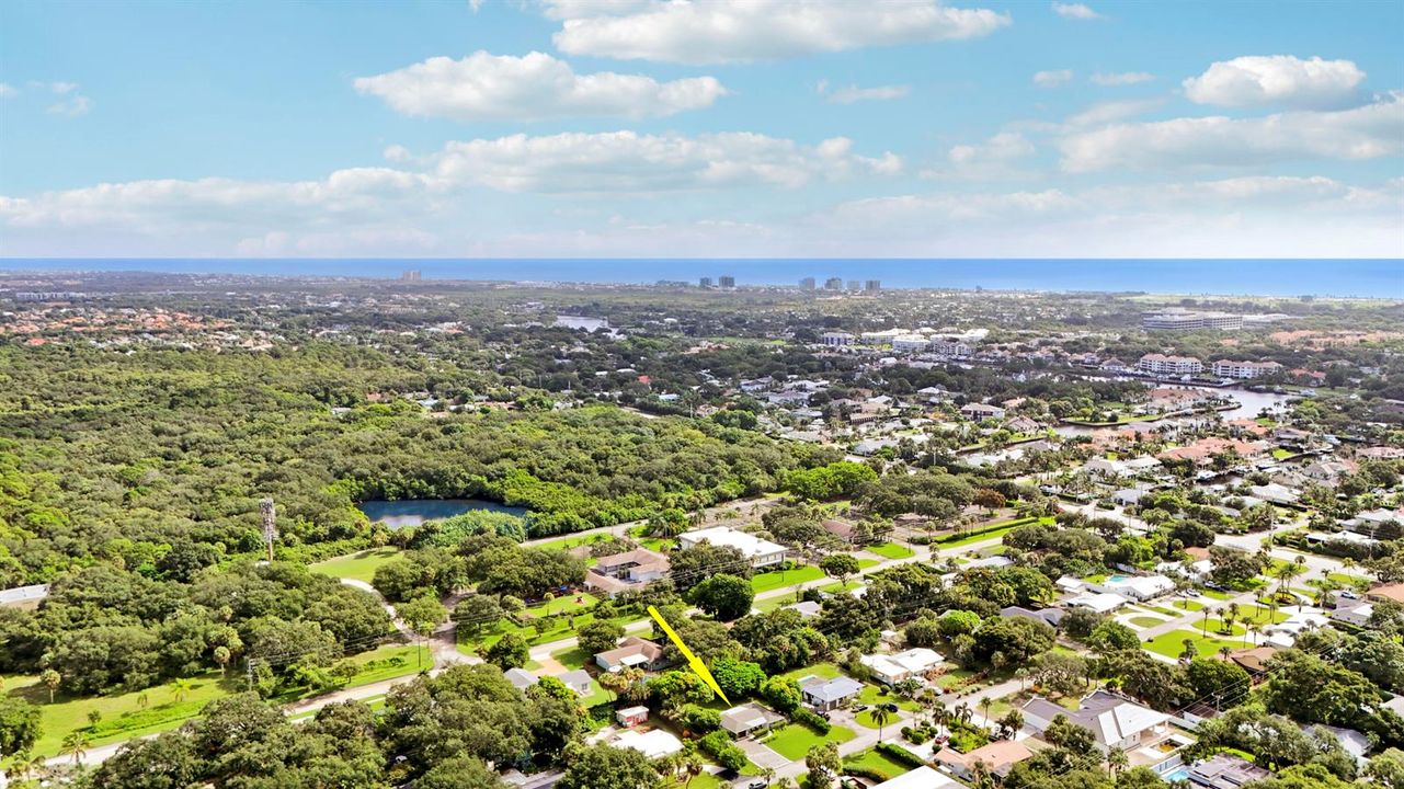 Aerial with Ocean