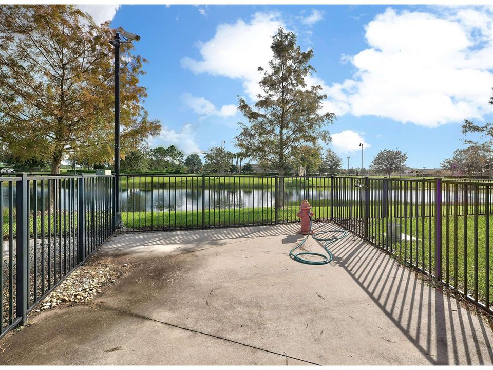 30 - Dog Park