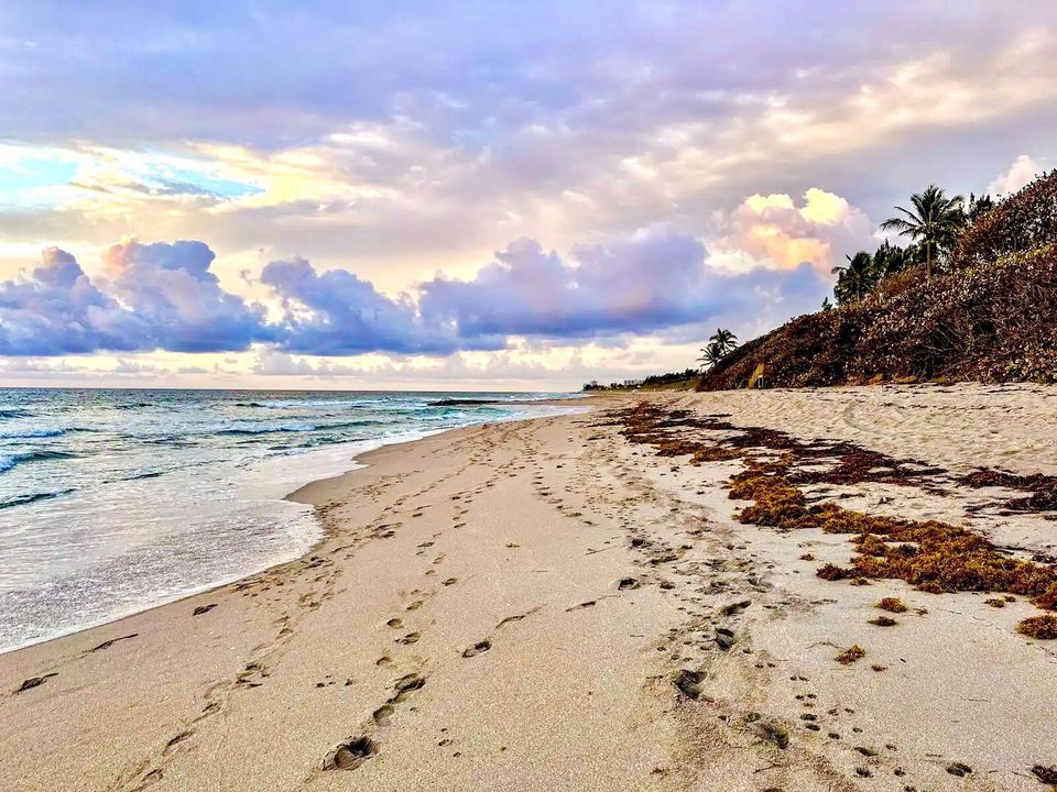 PRISTINE PRIVATE BEACHES