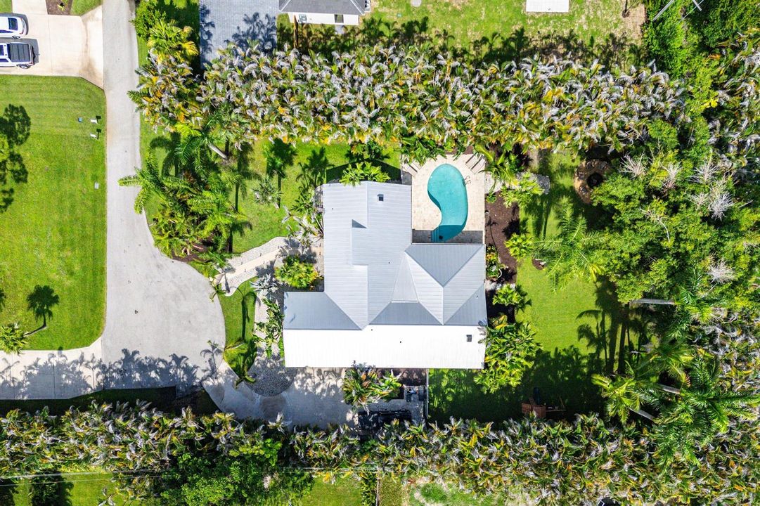 Expansive Fenced Yard