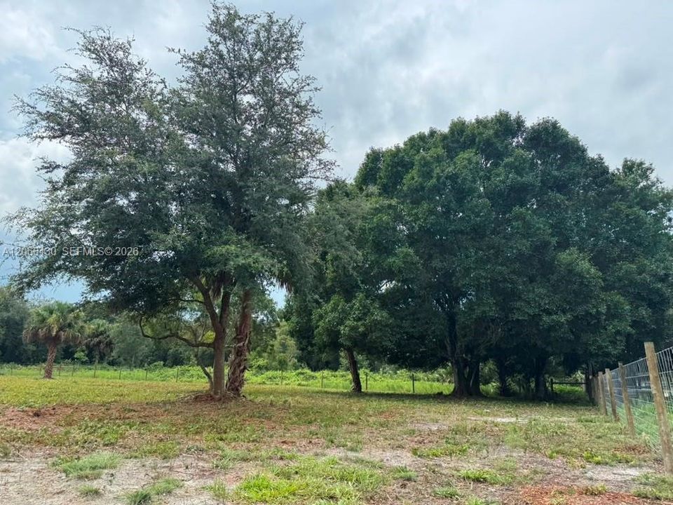 For Sale: $59,900 (1.25 acres)