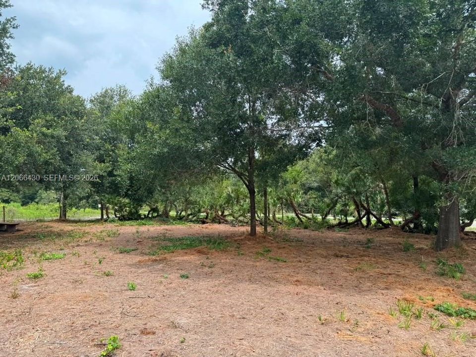 For Sale: $59,900 (1.25 acres)