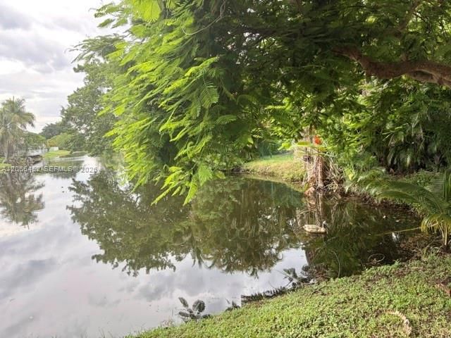 Lake view 2