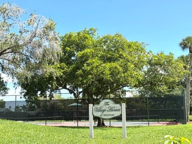Neighborhood Courts