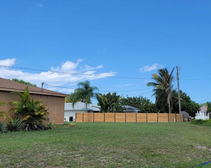 Back Yard #1