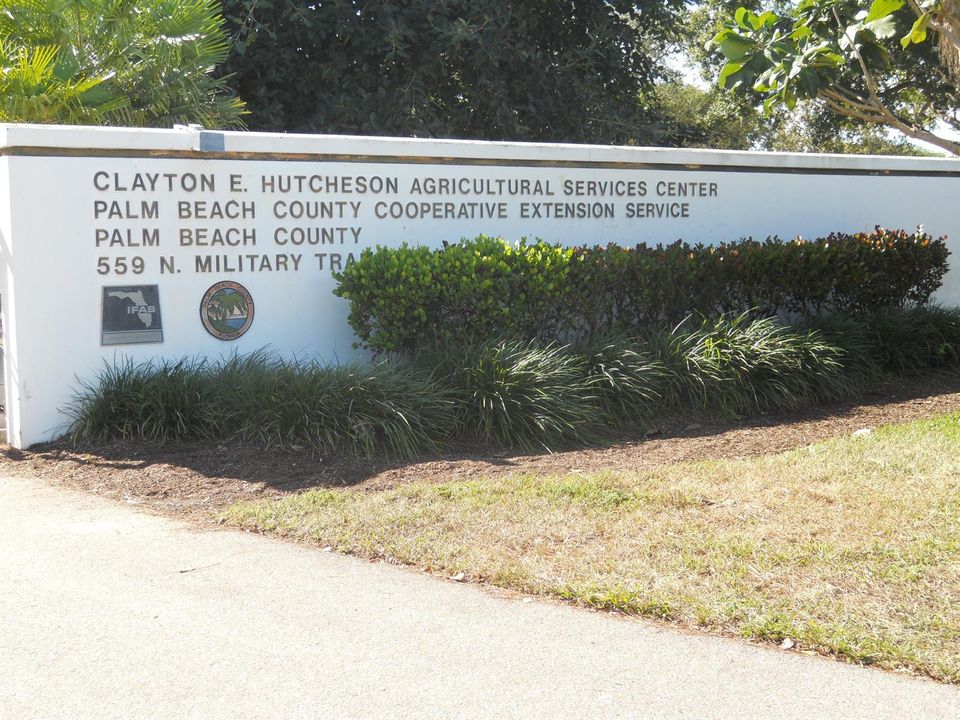 Neighboring Park