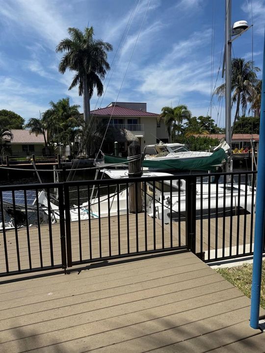 Back Yard 22