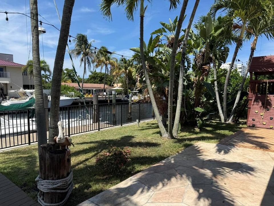 Back Yard 6