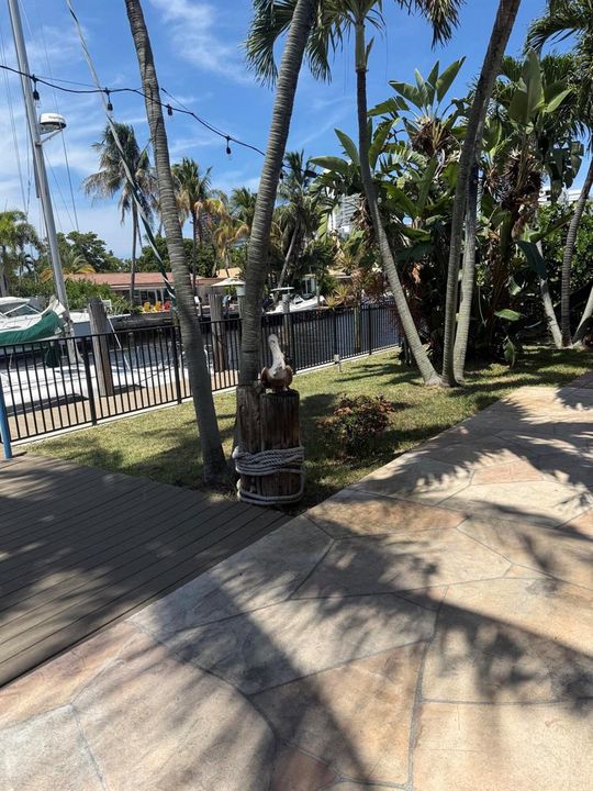 Back Yard 19